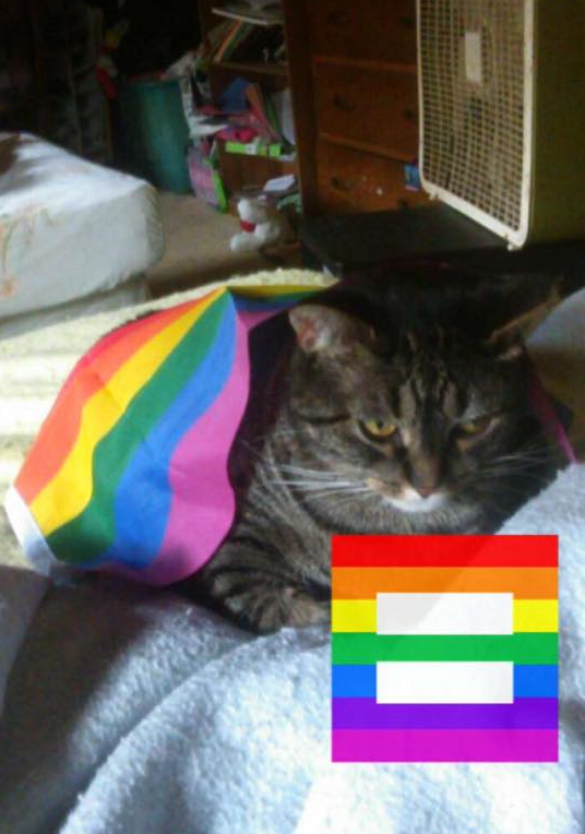 Google Docs Image