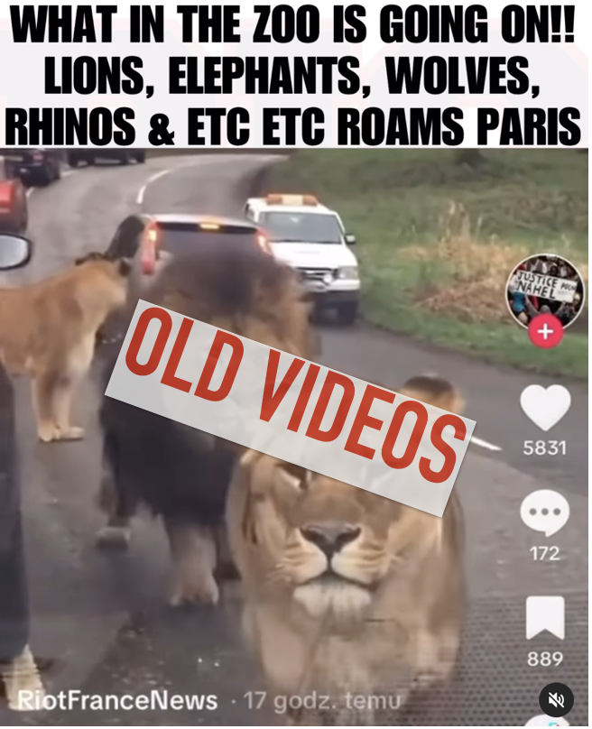 meme of zoo animals