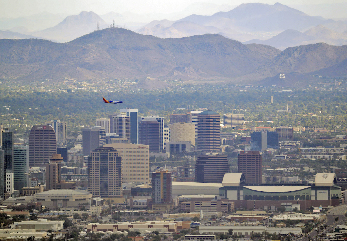 Phoenix trees