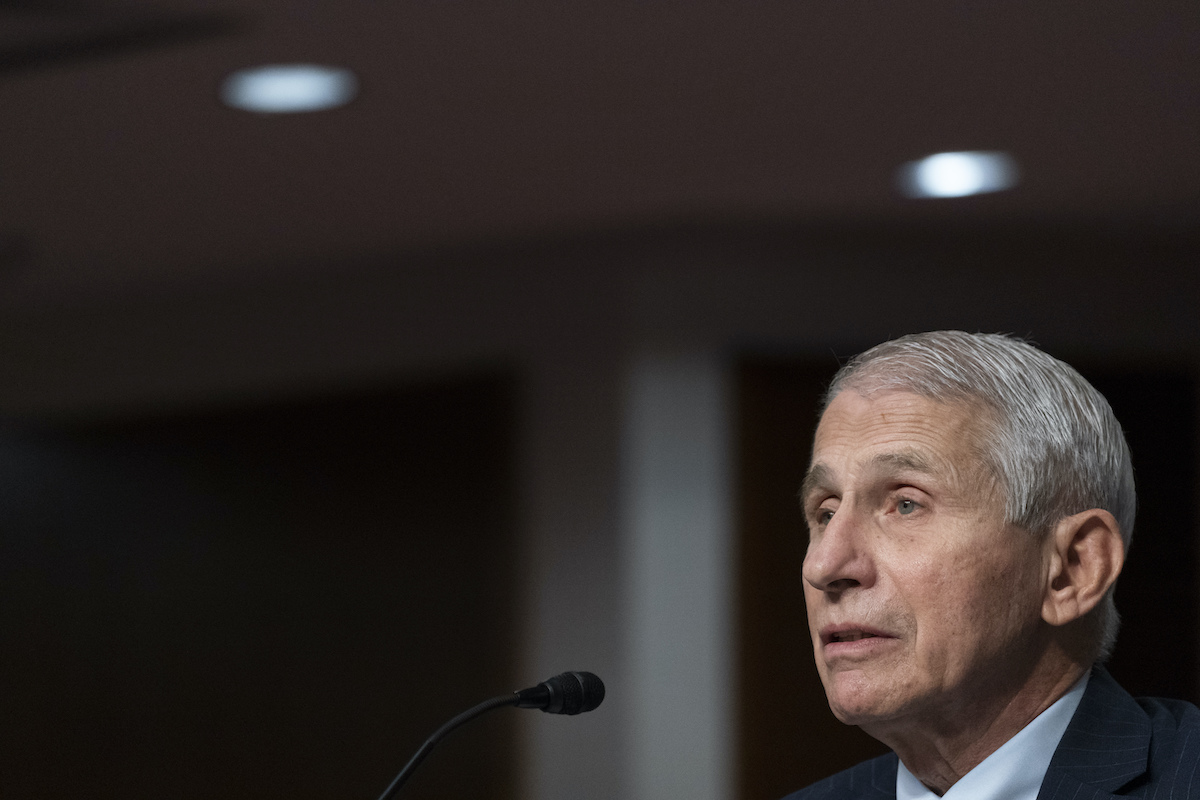 Fauci speaks to Congress Nov. 4, 2021