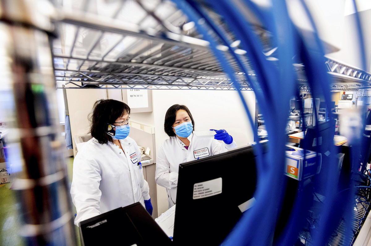 Palo Alto 2021 scientists processing COVID samples