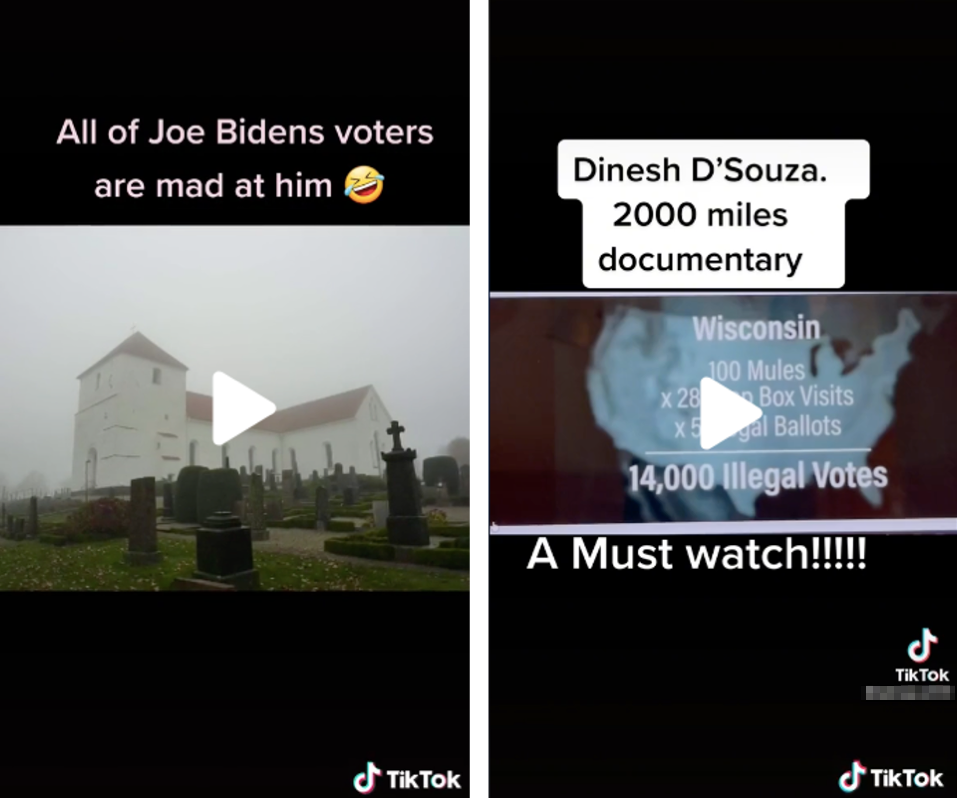 TikTok dead voters and ballot mules