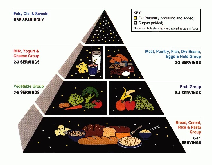 USDA food guide pyramid 1992