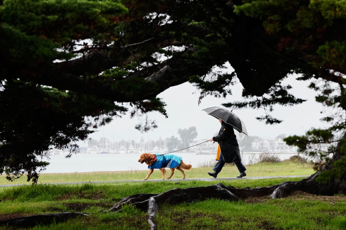 Woman walks dog at park in Alameda, Calif. 01-01-2026