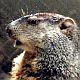 General Beauregard Lee