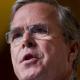 Jeb Bush