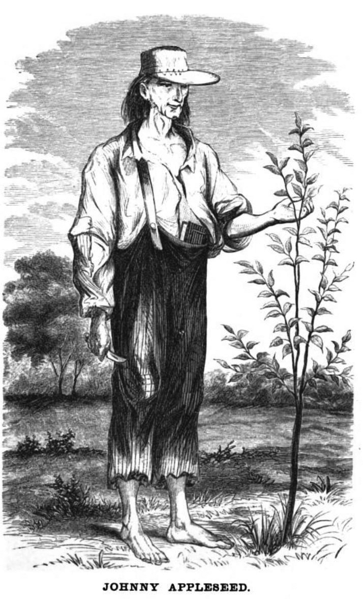 1862 drawing of Johnny Appleseed