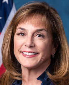 Lisa McClain