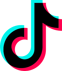 TikTok posts