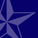 Texas Public Policy Foundation