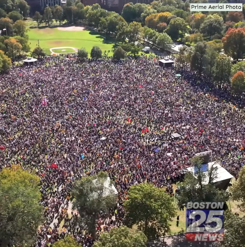 Fox Boston No Kings